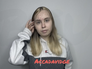 Accadavidge