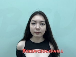 Berenicegledhill