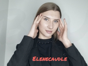 Elenecaudle