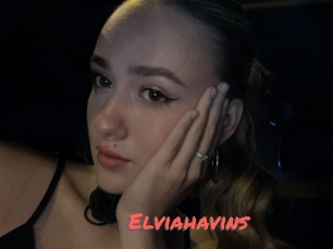 Elviahavins