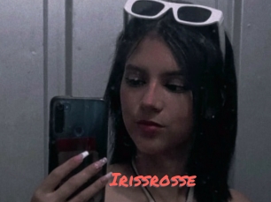 Irissrosse