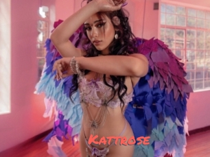 Kattrose