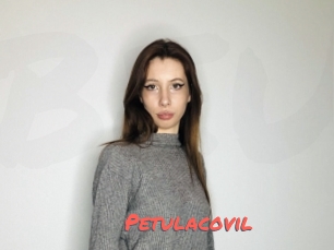 Petulacovil