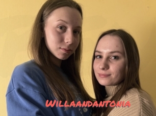 Willaandantonia