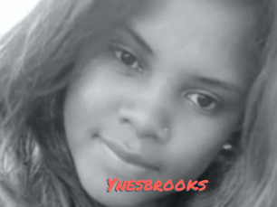 Ynesbrooks